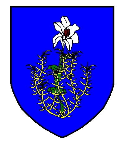 Communauté des Ursulines de Sauint-Etienne