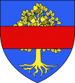 Chaigneau